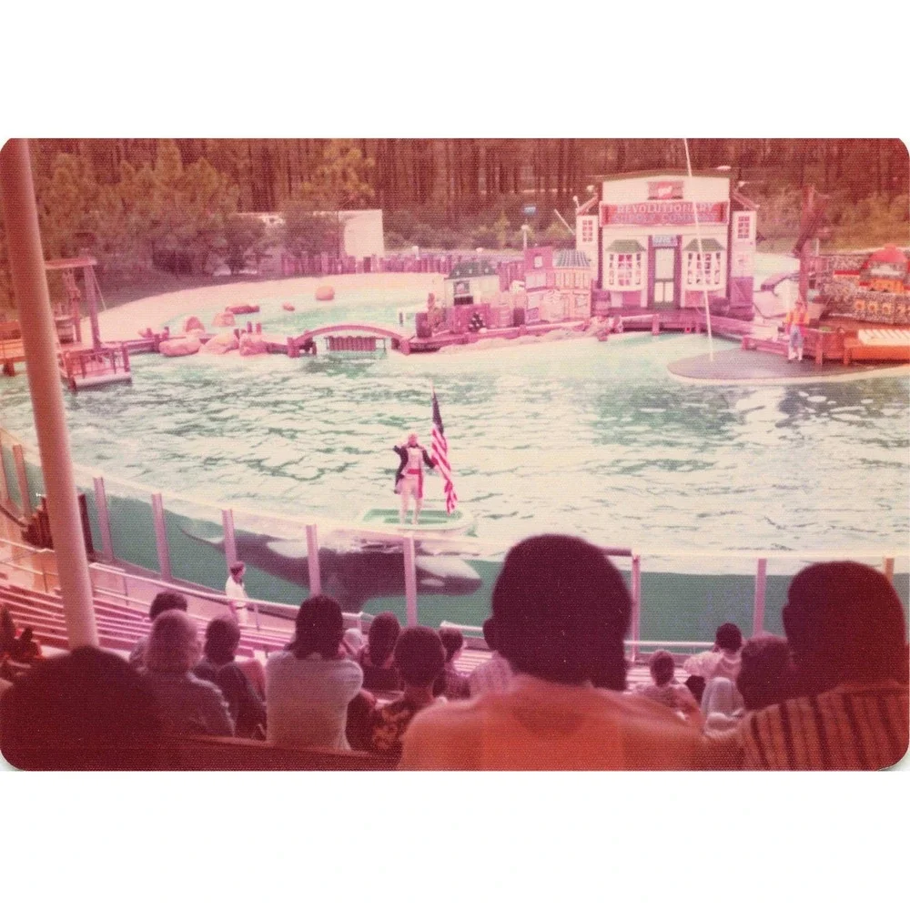 Vintage 1970s Six Flags Great Adventure Orca Water-Ski Show Photo Lot of 11 - Picture 6 of 11